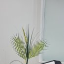 준365의원 이미지