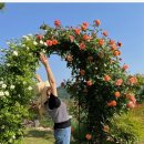 까사뚜아 스테이 이미지