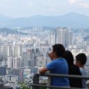 대조-011 이미지