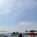 뱃고동횟집 이미지