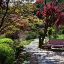 나도 화가 이미지