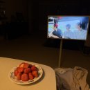 독립영화판타지휴가백서 | 기록 #06. 임신 27-32w 일상