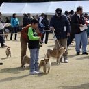 (주)사료회관 이미지