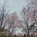 서곶근린공원 주차장 이미지