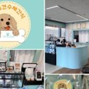 재화애견수제간식 이미지