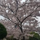 비양도모텔 이미지