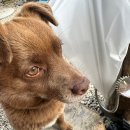 탈해로(서) | 경주여행 (1일차)