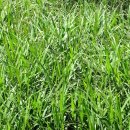 세븐일레븐(창원외동점) 이미지