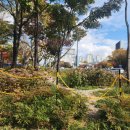 동덕한의원 이미지