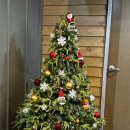 장림 대패 | [부산/장림] 사하구 대패삼겹살 맛집 더 얇은고기 방문후기