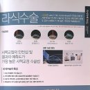 대정안과의원 | 2021.1 라섹 후기 in <태릉밝은안과의원>