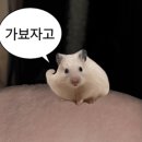 요요플라워 | W03-2 | 루클라비더화이트 서울 강남 밝은 웨딩홀 투어 상담 후기 27년 상반기 견적