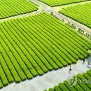 서광리-26 이미지