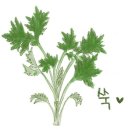 4월6일 공학여지도95 : 쑥대밭 이미지