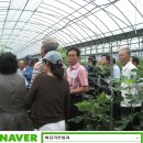 인솔농장 이미지