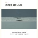 고려화학 1인용 간편접이식 방석매트 (딱딱한의자위, 사우나, 등산, 캠핑, 낚시 필수템) 이미지