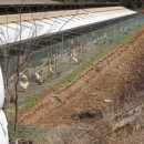 유기농장 이미지