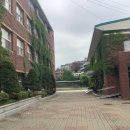 응봉초등학교 이미지