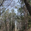 꽃섬투어 이미지