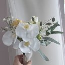스튜디오다정 이미지