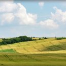 (주)베스트팜 | 베스트팜 실물 자산 투자 찾는다면 추천해요