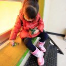 신기한 과학 탐구생활 이미지