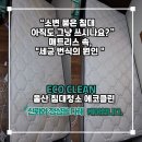 에코크리닝 | 울산 침대청소 에코클린 프리미어클리닝｜아이 소변 매트리스 청소 후기