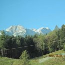 토이포이 이미지