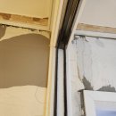 복수계룡 이미지