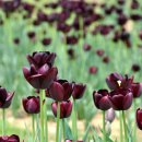 영상세계 이미지