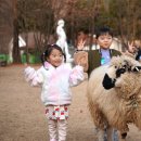 포천 팜스플랜 이미지