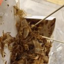 미미타코야끼 이미지