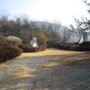진수봉 Daum카페