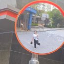 해운대조은동물병원 | 한국으로 도피한 오사카 워홀 16주차 일기 :: 한국 잠시 귀국, 갑상선암 검사, 위탁수하물 추가 사건