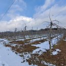 아찬리경로당 이미지