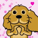 중앙동물병원 이미지