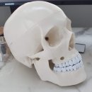 김유진치과의원 이미지