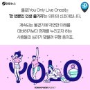 욜로 - 포항시 남구 새천년대로422번길 5-10 | 욜로