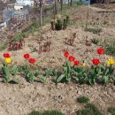 일광농장 이미지