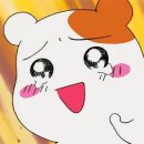 더준가든