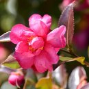 해운대에 올라 이미지