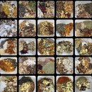 소담재한의원 이미지