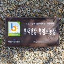 흑색건강 염소농장 이미지