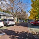 서귀포테니스장 테니스장 이미지