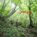 광산골식당 이미지