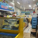 광어2마리15000 티스토리