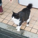 킹덤랜드5 이미지