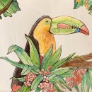 리틀벧엘어린이집 이미지