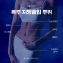 아름다운 여성의원 이미지