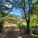 예이제448 이미지